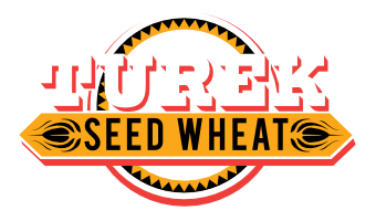 Turek Seed Wheat